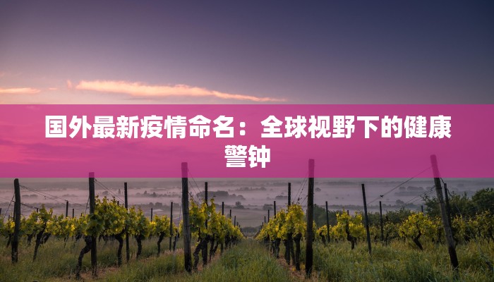 国外最新疫情命名：全球视野下的健康警钟